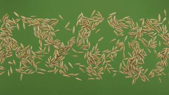燕麦粒条纹隔离在绿屏上俯视图