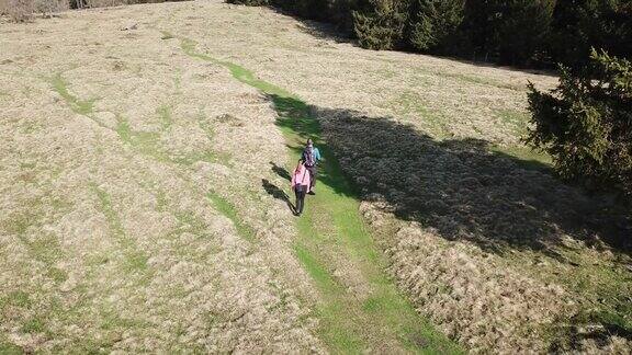 一架无人机拍摄到一对情侣在奥地利阿尔卑斯山的小路上散步小路是绿色的周围的草地是金色的山上的早春探索自然茂密的森林