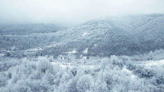 冬天的天线在浓雾覆盖的雪山上飞行