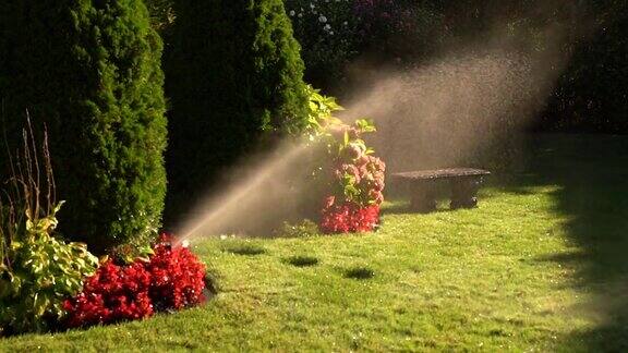 自动洒水系统浇灌草坪