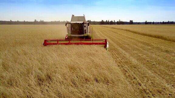 联合收割机在广阔的田野里收割小麦