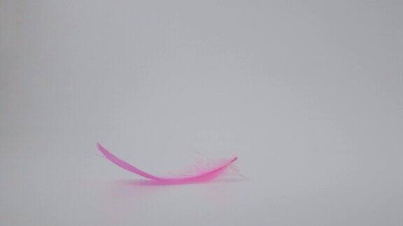 粉红色羽毛落在白色地板上