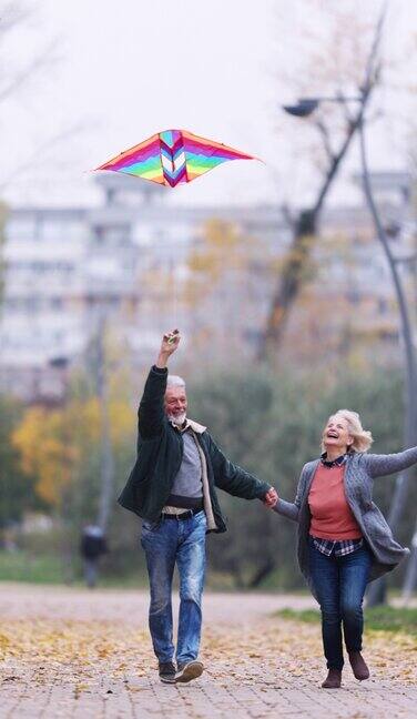 兴高采烈的老年夫妇在公园里放风筝奔跑的垂直视频