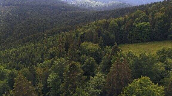 从空中俯瞰喀尔巴阡山区的森林