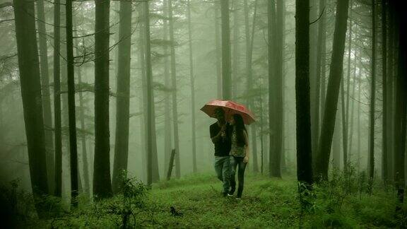 幸福的年轻情侣一起漫步在大自然的伞下