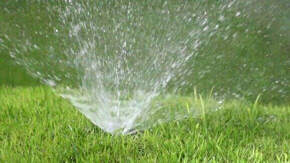 阳光明媚的日子里草坪自动浇水系统洒水喷头的一个喷头的一个喷头的特写慢动作