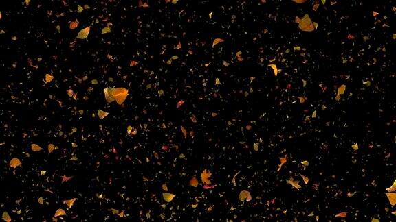 秋叶侧视图黑色背景-4k60fps详细的秋叶视频背景循环