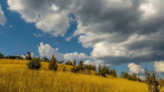 山脉牧场的时间流逝山坡上的高草和背景中树木的云