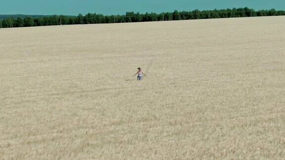 从直升机上看一个快乐的女人在金色的麦田里奔跑一望无际的田野成熟的玉米穗农业产业4kProRes
