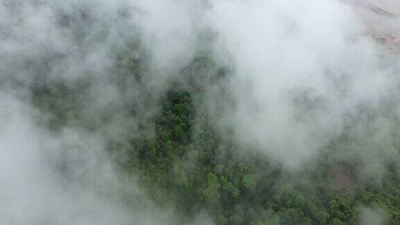 自然组成的森林和绿色山脉混合云塔克老挝亚洲在雨季无人机在一天的雨和云