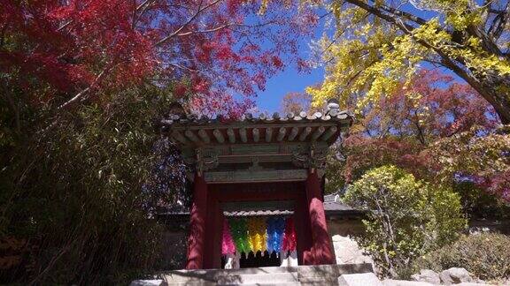 寺庙屋顶以红色的秋叶为背景Bulguksa寺庙