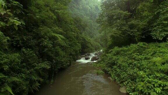飞上热带丛林的一条河