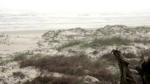 海浪翻滚在多雾的海滩草原上帕德雷岛国家海岸海湾沿岸