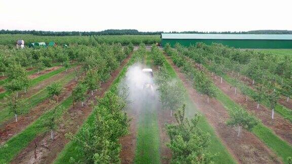 拖拉机在花园里给苹果树喷洒除草剂和杀虫剂