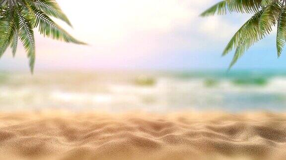 海边的棕榈树热带及海洋海滩