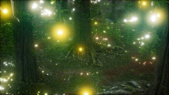 萤火虫在森林里飞翔