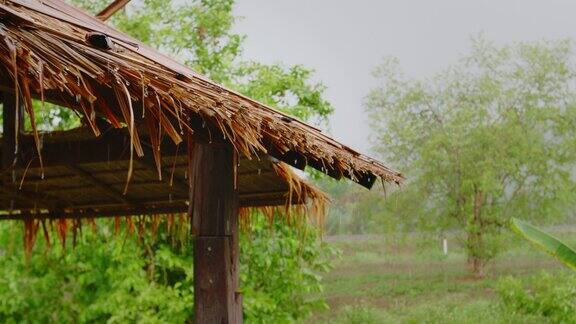 雨点落在茅屋稻草屋顶上的慢动作镜头