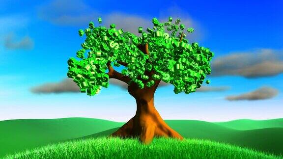 绿色的美元树