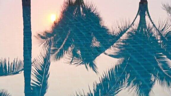 日落时分海边沙滩上有棕榈树的室外游泳池