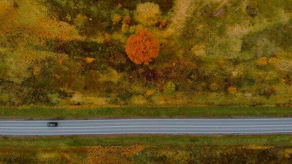 从以上观点鸟瞰图飞越秋天自然道路运行的乡村路在秋景航拍一辆黑色轿车行驶在五彩缤纷的秋日风景中