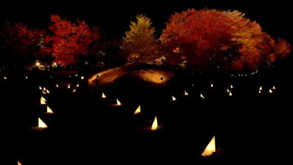 在日本山梨县川口町秋夜参观枫树走廊或momiji隧道的游客