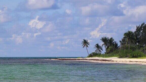 热带加勒比海滩清澈的绿松石水普拉亚德尔卡门墨西哥