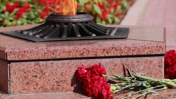塞瓦斯托波尔永恒火焰纪念碑的花岗岩台阶上盛开着康乃馨红色花朵