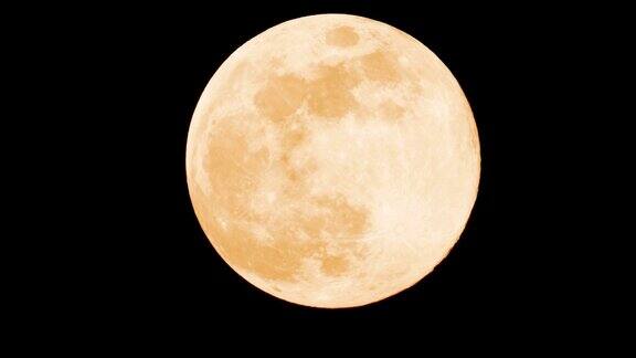 月光下的满月