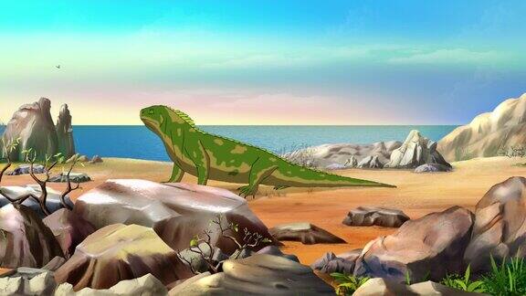 生活在海洋岛屿上的绿色海鬣蜥