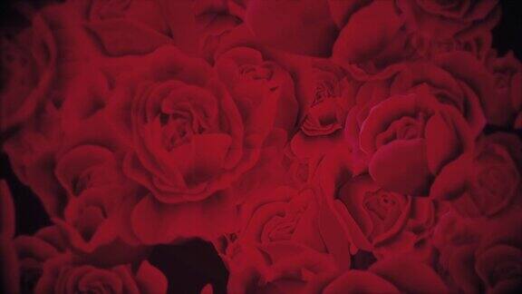 优雅的红玫瑰花运动背景