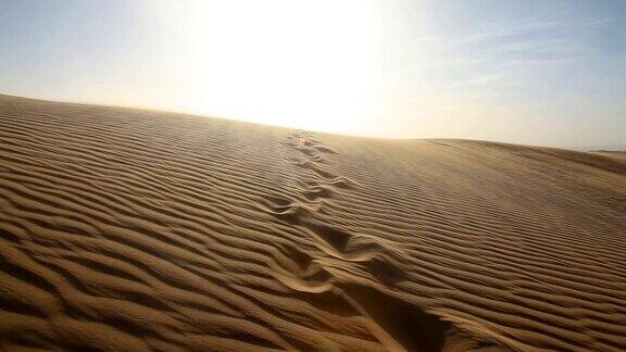 撒哈拉沙漠的沙尘暴横扫了人类的足迹