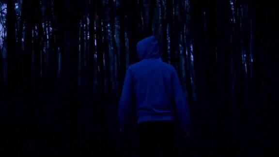 在日落时分孤独地走在森林里