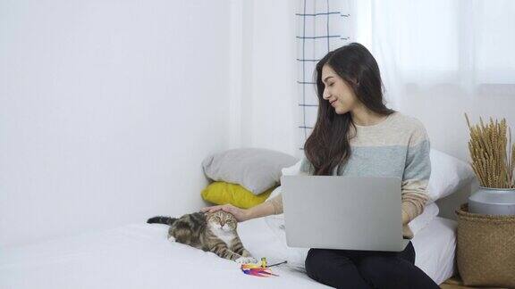 年轻的亚洲女性在家里用笔记本电脑工作在卧室里和猫玩