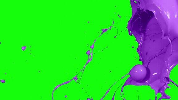 油漆喷溅紫色慢动作隔离在绿色屏幕背景4K视频元素合成