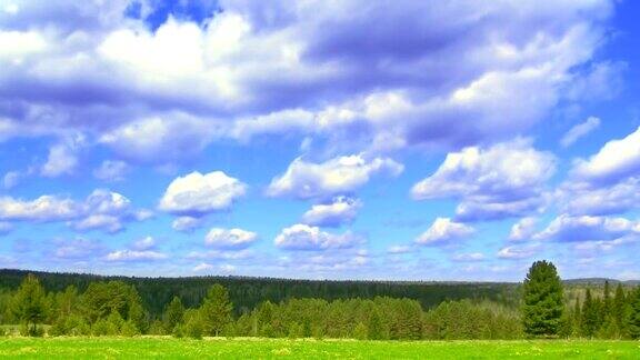 时光流逝的自然风光绿色的田野针叶林和飞翔的云
