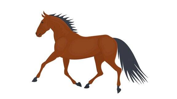 马奔跑的马的动画卡通