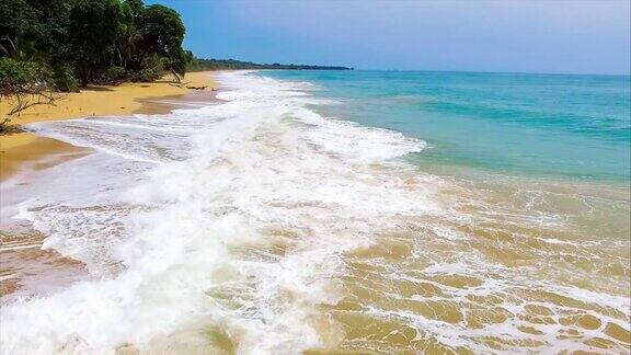 加勒比金色未被破坏的沙滩无人机视图