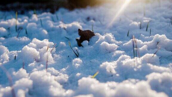 阳光照在草地上的雪地上