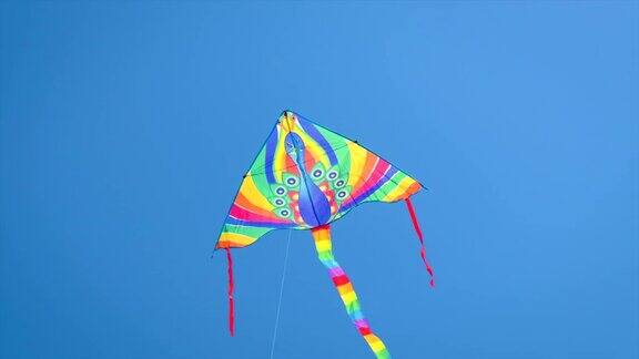 风筝在天空中飞有选择性的重点大自然
