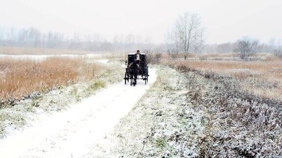 一个人在冬天的路上骑着一辆马车
