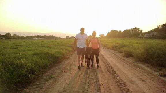 积极和健康的夫妇散步大丹犬在黄金时间4K视频系列美国农村