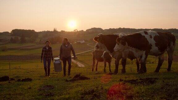 一对夫妇扛着一桶牛奶穿过牧场