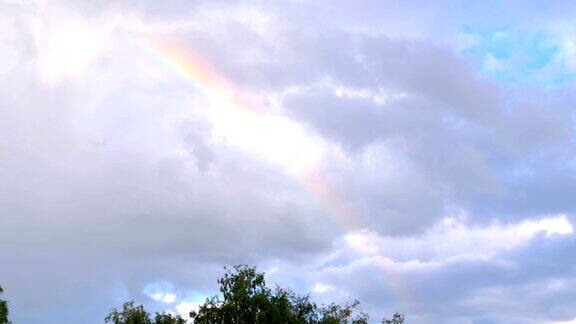 天空中的彩虹树上的云朵