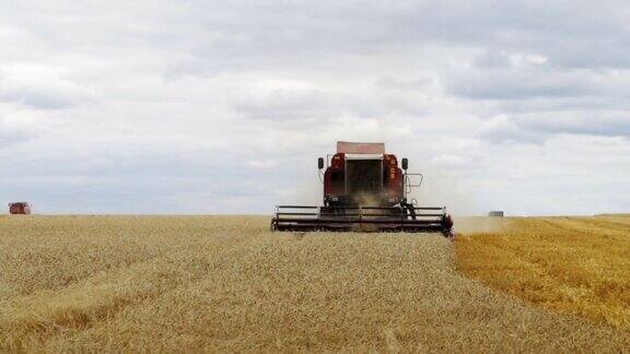 联合收割机在麦田里工作季节性收割小麦风景优美的农用地和农场农业