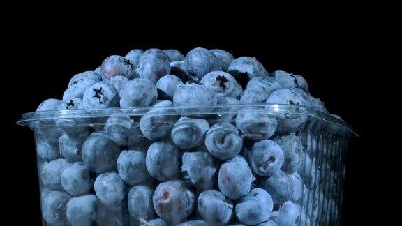 新鲜蓝莓在一次性塑料食品包装上黑色背景特写镜头相机360度旋转沼泽越桔沼泽蓝莓北部越桔或西部越桔(越桔越桔)
