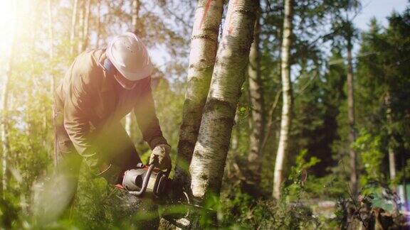 伐木工人正在用电锯砍树