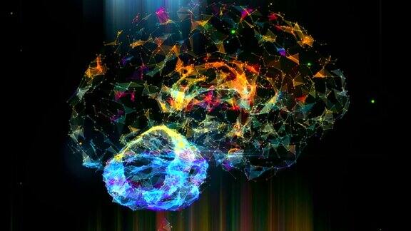 大脑神经丛