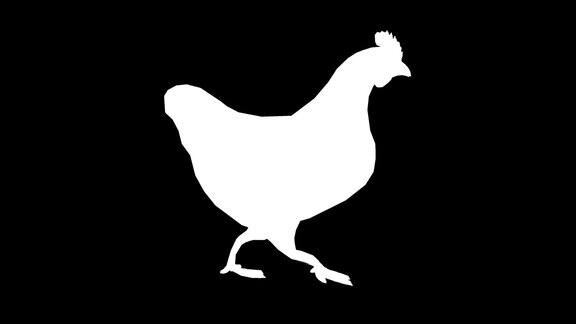 行走的鸡在黑色背景剪影动物野生动物游戏回到学校3d动画短视频电影卡通有机色度键角色动画设计元素循环