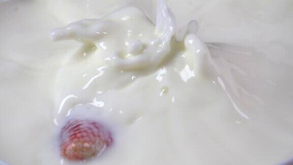草莓掉进牛奶里慢镜头500帧秒