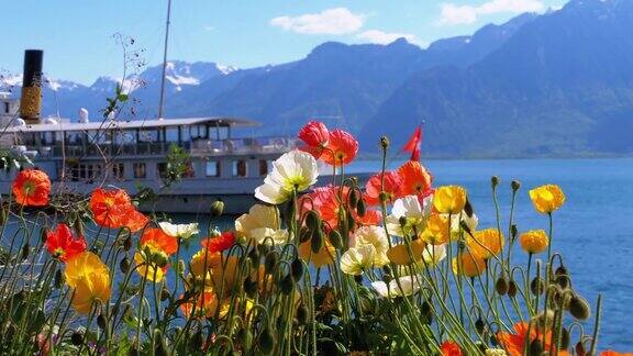 高山上的五彩花朵和日内瓦湖上的过往船只瑞士